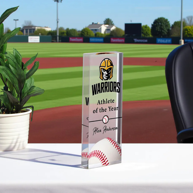 Personalizedb Sports Award Custom Sports Recognition Acrylic Plaque Custom Team Logo and Name