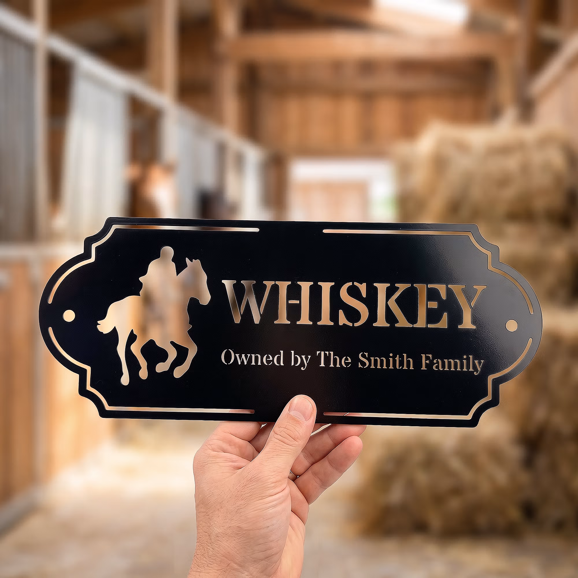 Personalized Silhouette Horse Stall Metal Sign with Name and Text Barn Decor Housewarming Gift for Horse Lovers Owners