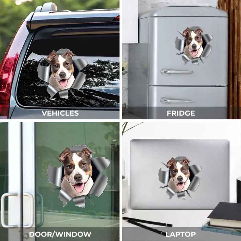 Personalized Dog Lover Photo RV Decal Cracking You Up One Paw at a Time Stickers