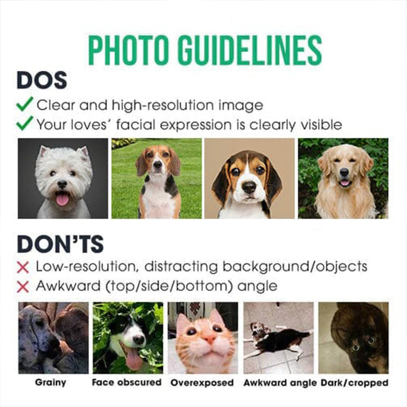 Personalized "Life Would Be Boring Without Me" Pet Photo Life Wine Glass 16oz Wine Glass Gift for Pet Lover