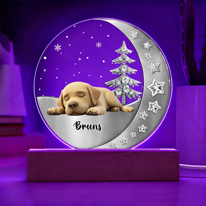 Personalized Dog Lover Beside You Dog Light