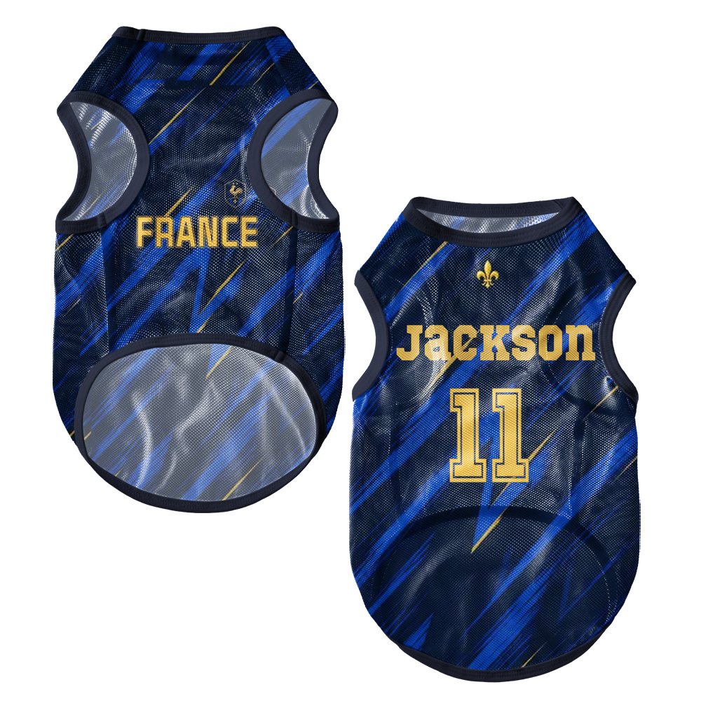 Personalized Pet Mesh Jerseys 2026 World Football National Team JerseysGift for Pet