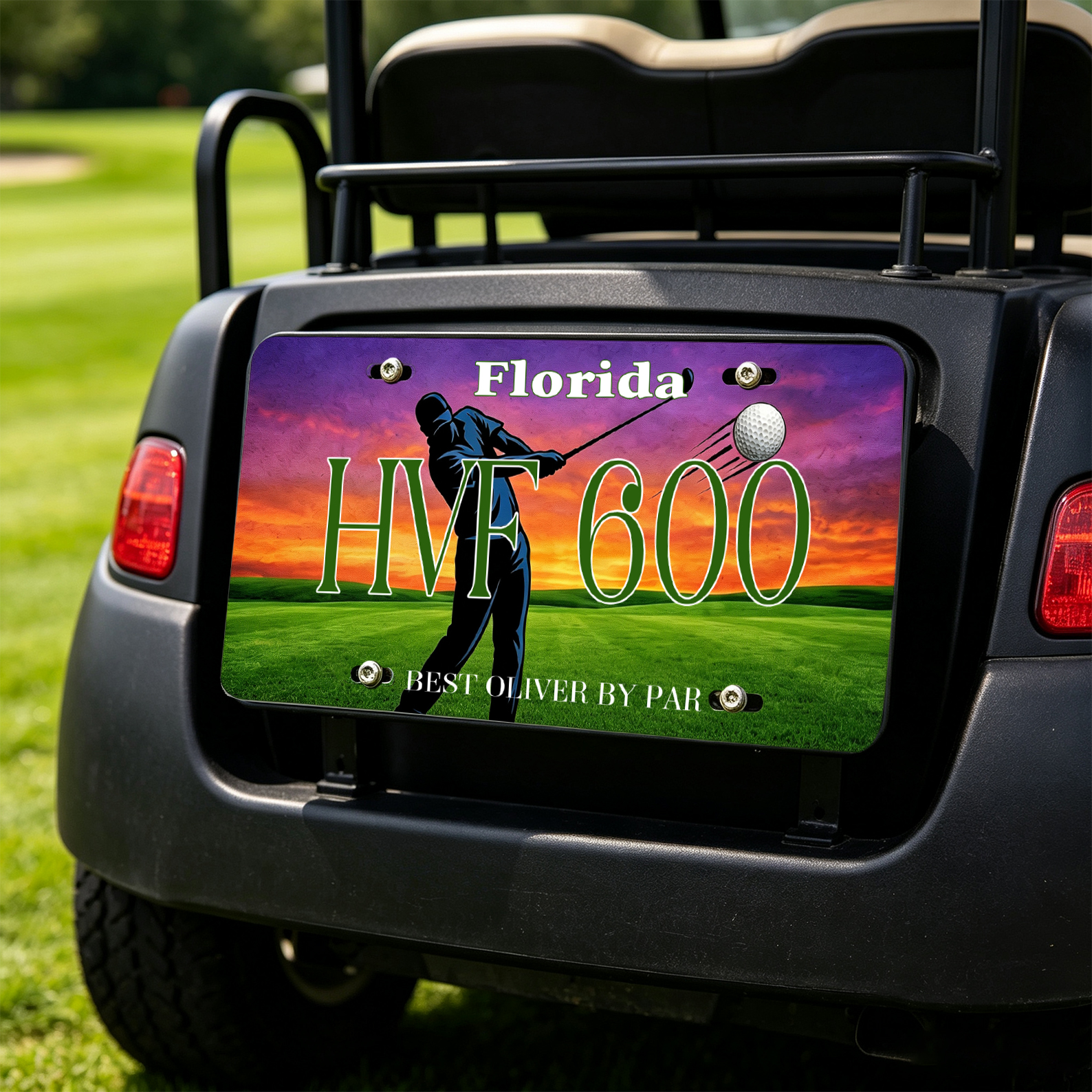 Personalized Golf License Plate Custom Name and State for Golf Player