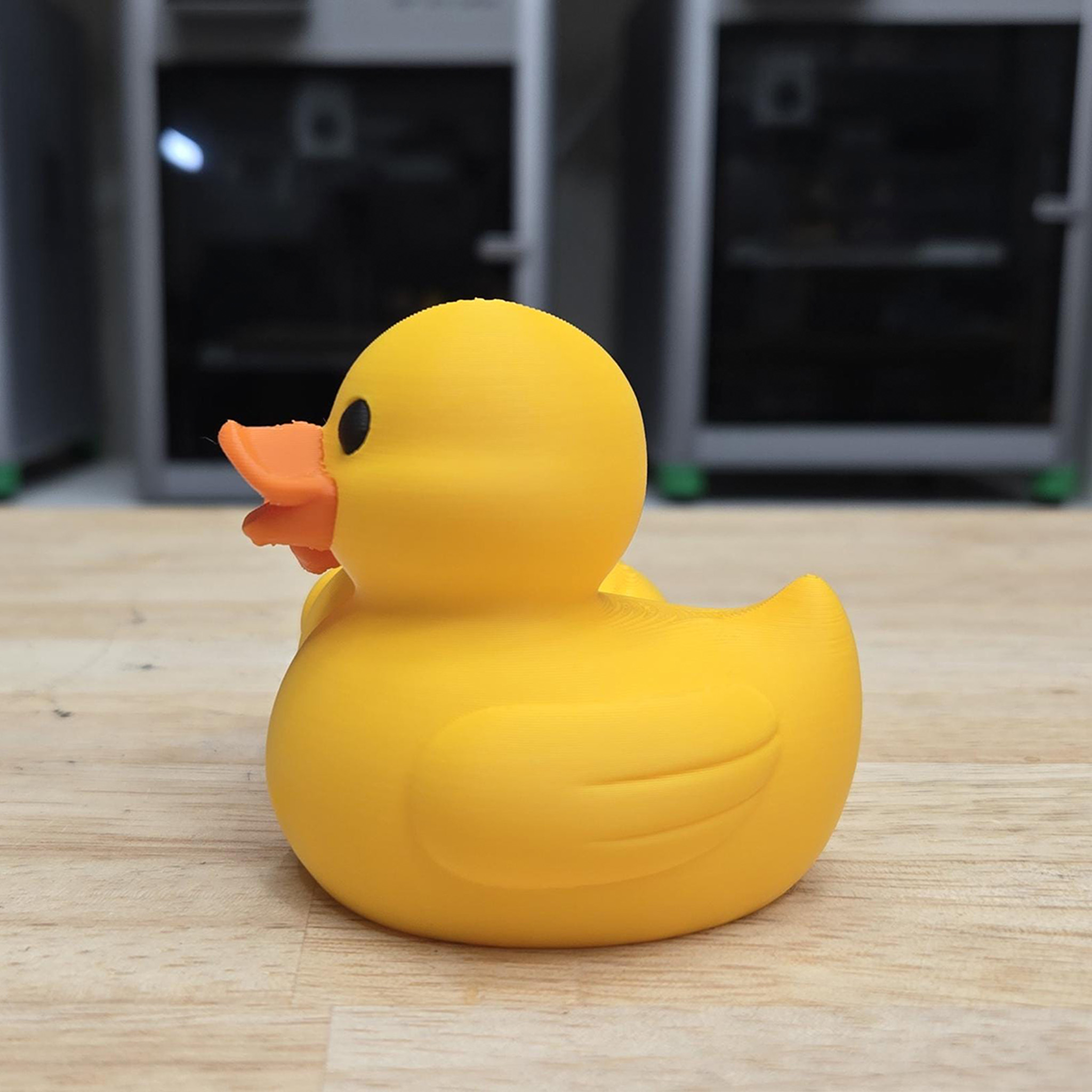 Personalized 3D Printed Couples Ducks Cute Couple Gift Home Decorations