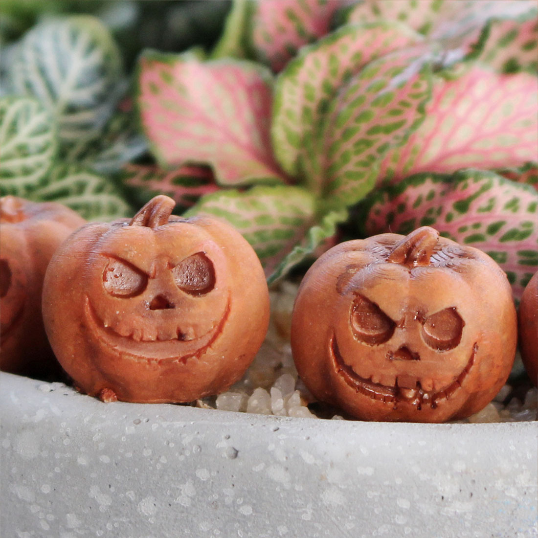 Mini Pumpkin Set of 20 PcsTiny Carved Face Pumpkins for Succulent Gardens