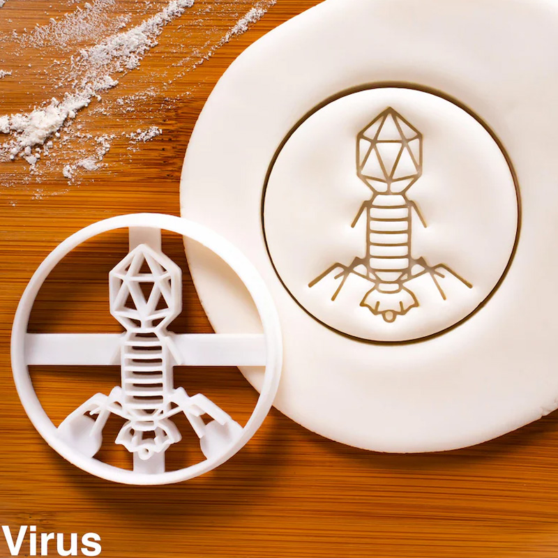 Personalized Bacteria Flask Cookie Cutter 3D Printed Microbiology Laboratory  Geeky Baking Supplies Fondant Tool Craft Stamp for Geek Lover