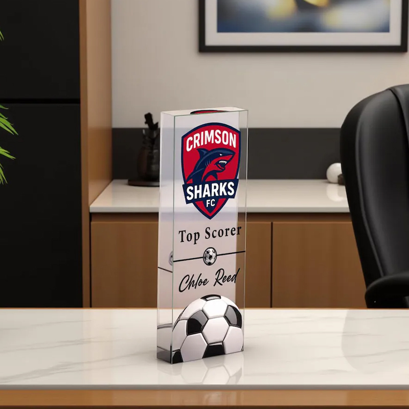 Personalizedb Sports Award Custom Sports Recognition Acrylic Plaque Custom Team Logo and Name