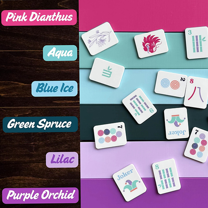 Travel Mahjong Racks, Magnetic Pushers, Mahjong Beginner for Mahjong Lovers