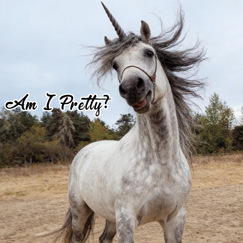 3D Print Equine Unicorn Horns Gift for Equestrain Lovers