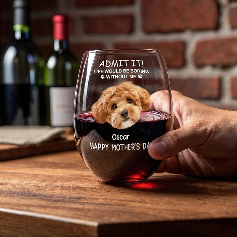 Personalized "Life Would Be Boring Without Me" Pet Photo Life Wine Glass 16oz Wine Glass Gift for Pet Lover
