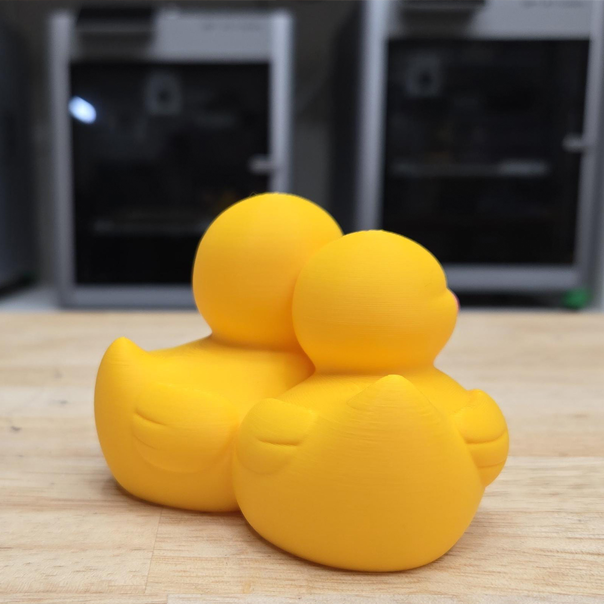 Personalized 3D Printed Couples Ducks Cute Couple Gift Home Decorations