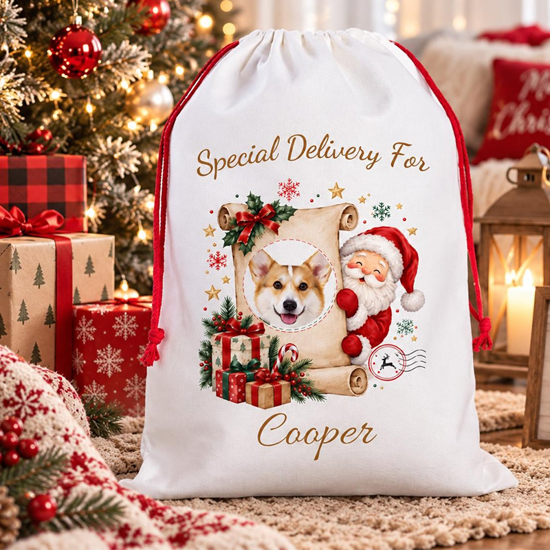 Personalized Santa Claus Sack Personalized with Pet Photo, Dog & Cat, Large Santa Bag Personalized, Christmas Eve Gift Bag, Custom Santa Sack