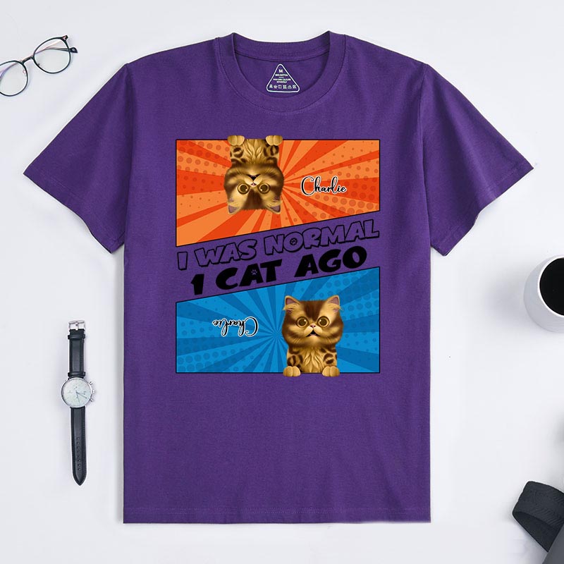 Personalized Cat Lover Comic Style I Was Normal 3 Cats Ago T-Shirt