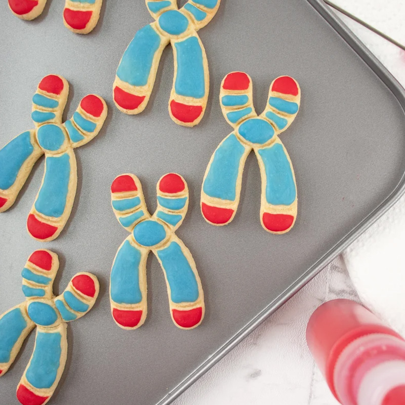 Personalized DNA Cookie Cutter 3D Printed Microbiology Genetics Science Baking Supplies Fondant Tool Craft Stamp for Geek Lover