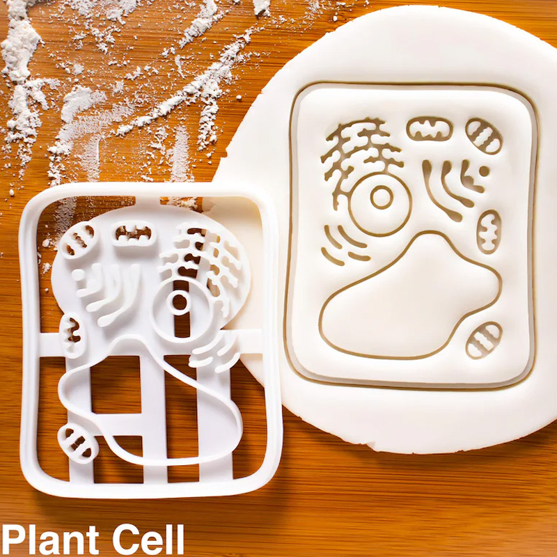 Personalized Human Cell Cookie Cutter 3D Printed Biology Shape Geeky Baking Supplies Fondant Tool Craft Stamp for Geek Lover