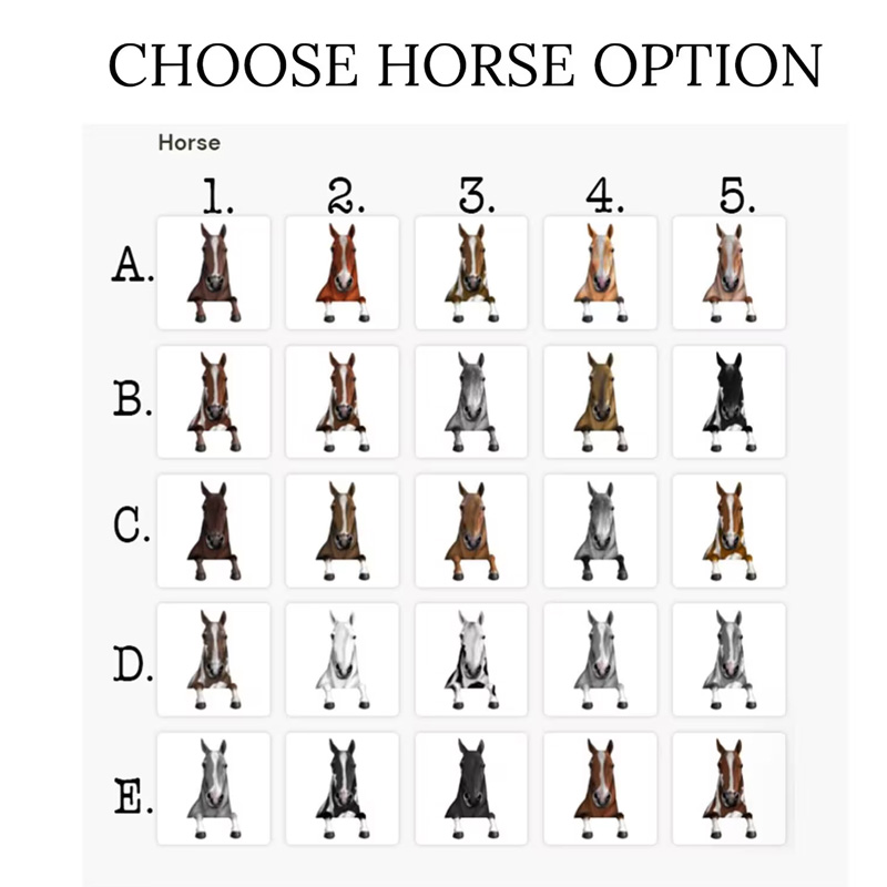 Personalized Horse Welcome Door Mat Custom Photo Home Decor Doormat for Family for Riding Lovers Equestrian Lovers