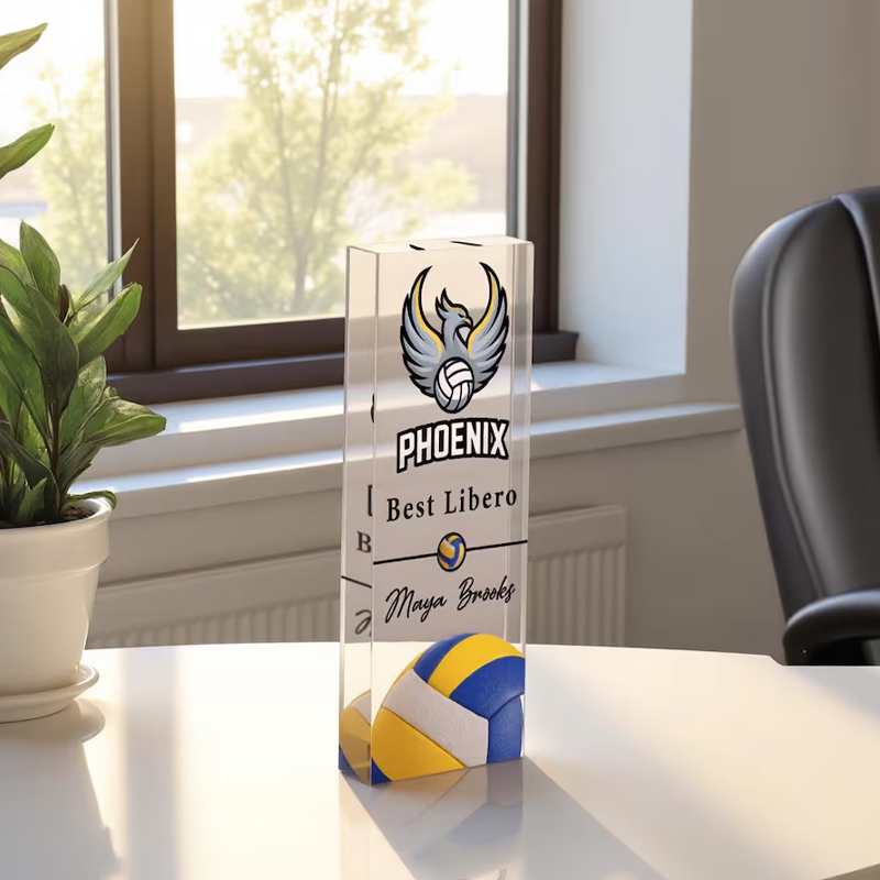 Personalizedb Sports Award Custom Sports Recognition Acrylic Plaque Custom Team Logo and Name