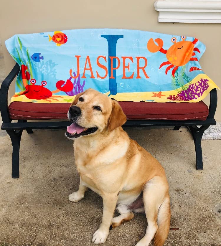 Personalized Kids Beach Towel  Fun Beach Designs Gift For Girls Or Boys Available In 3 Designs Choose From 2 Sizes