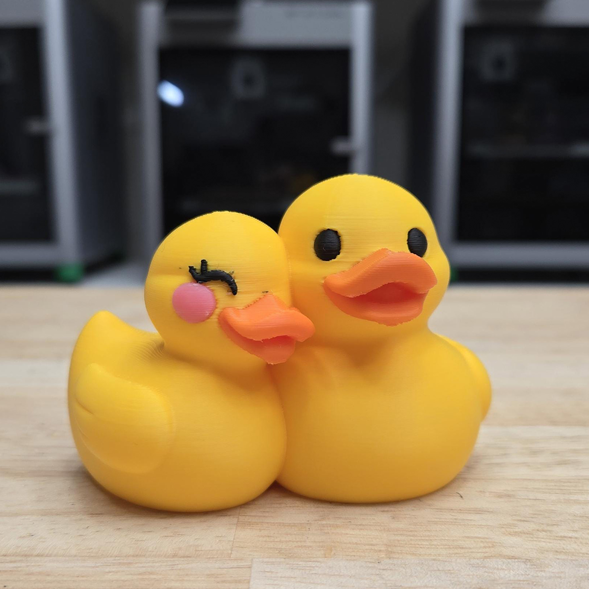 Personalized 3D Printed Couples Ducks Cute Couple Gift Home Decorations