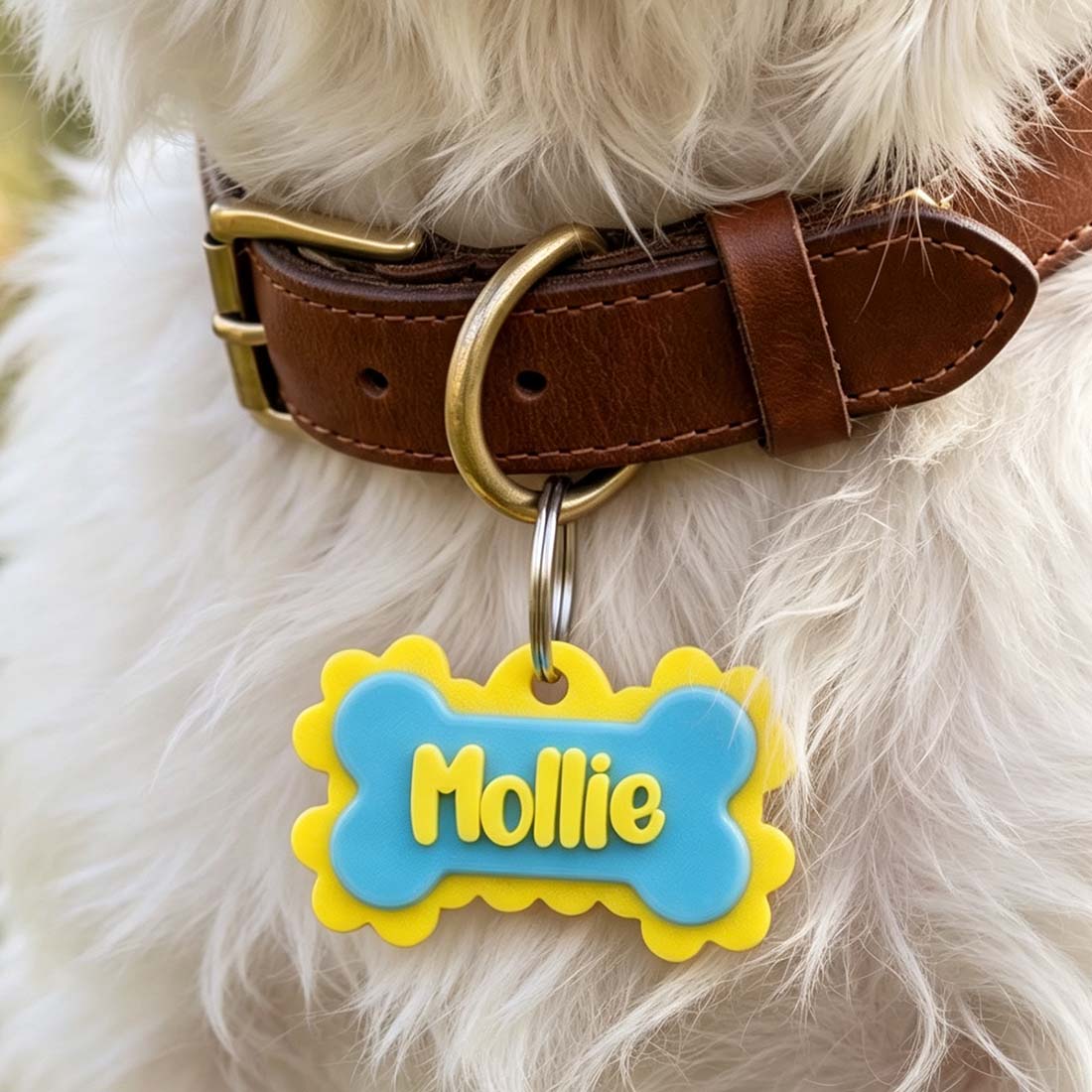 Personalized Multicolor 3D Printed Bone Pet Name Tag with Phone Number Dog ID Keychain