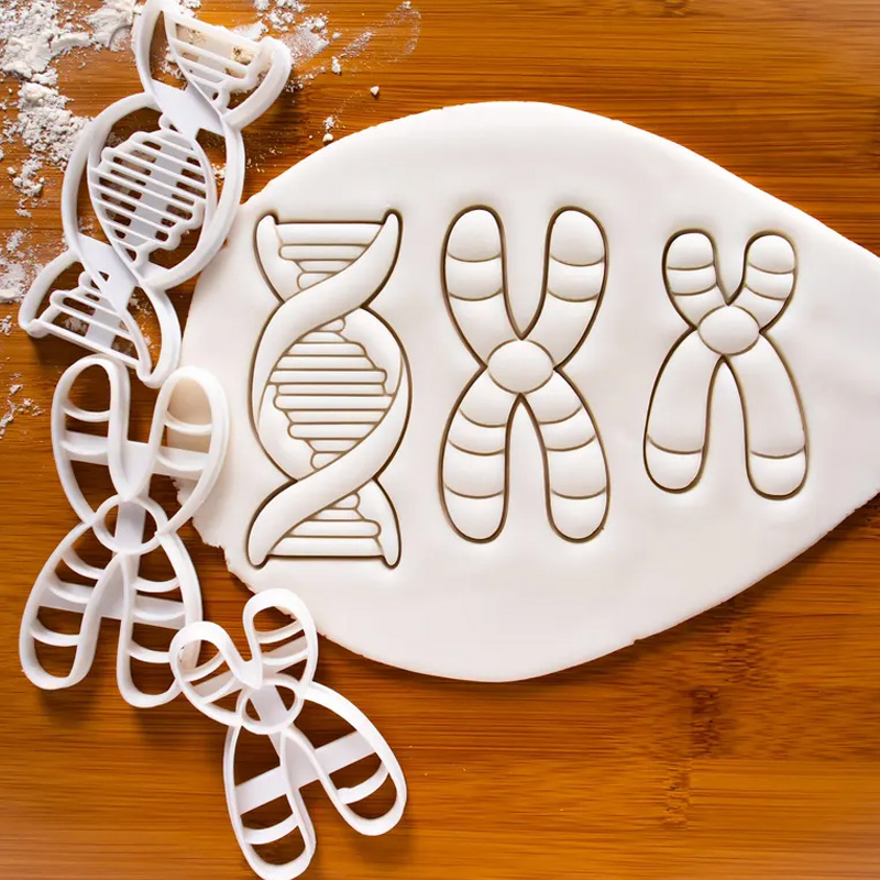Personalized DNA Cookie Cutter 3D Printed Microbiology Genetics Science Baking Supplies Fondant Tool Craft Stamp for Geek Lover