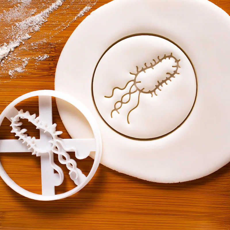 Personalized Bacteria Flask Cookie Cutter 3D Printed Microbiology Laboratory  Geeky Baking Supplies Fondant Tool Craft Stamp for Geek Lover
