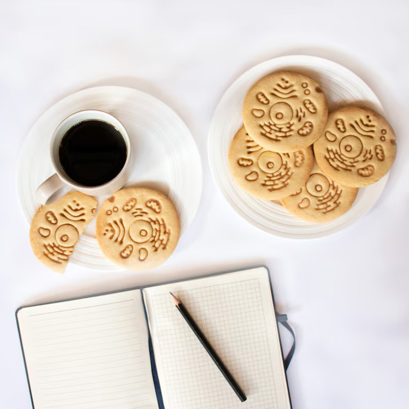 Personalized Human Cell Cookie Cutter 3D Printed Biology Shape Geeky Baking Supplies Fondant Tool Craft Stamp for Geek Lover