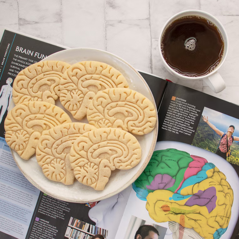 Personalized Science Anatomical Brain Cookie Cutter 3D Printed Baking Tool Craft Stamp for Geek Lover