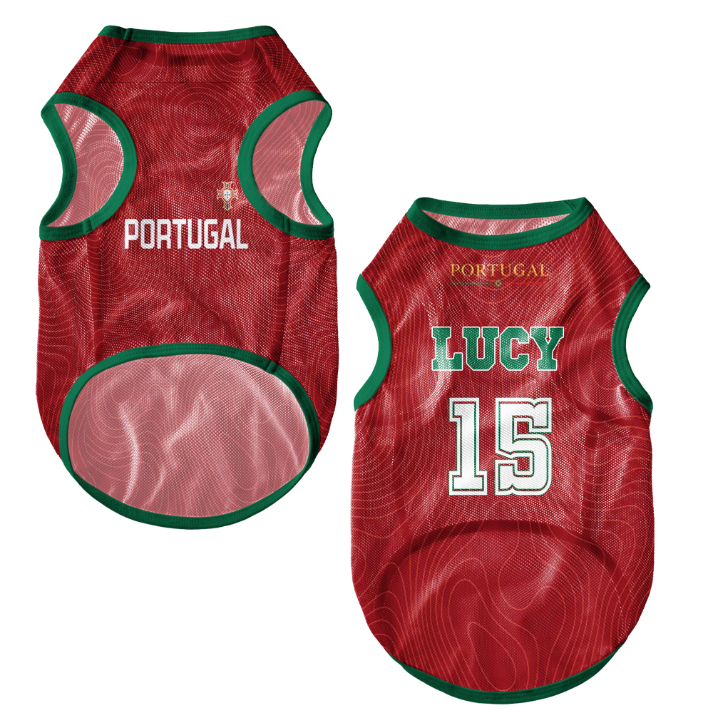 Personalized Pet Mesh Jerseys 2026 World Football National Team JerseysGift for Pet