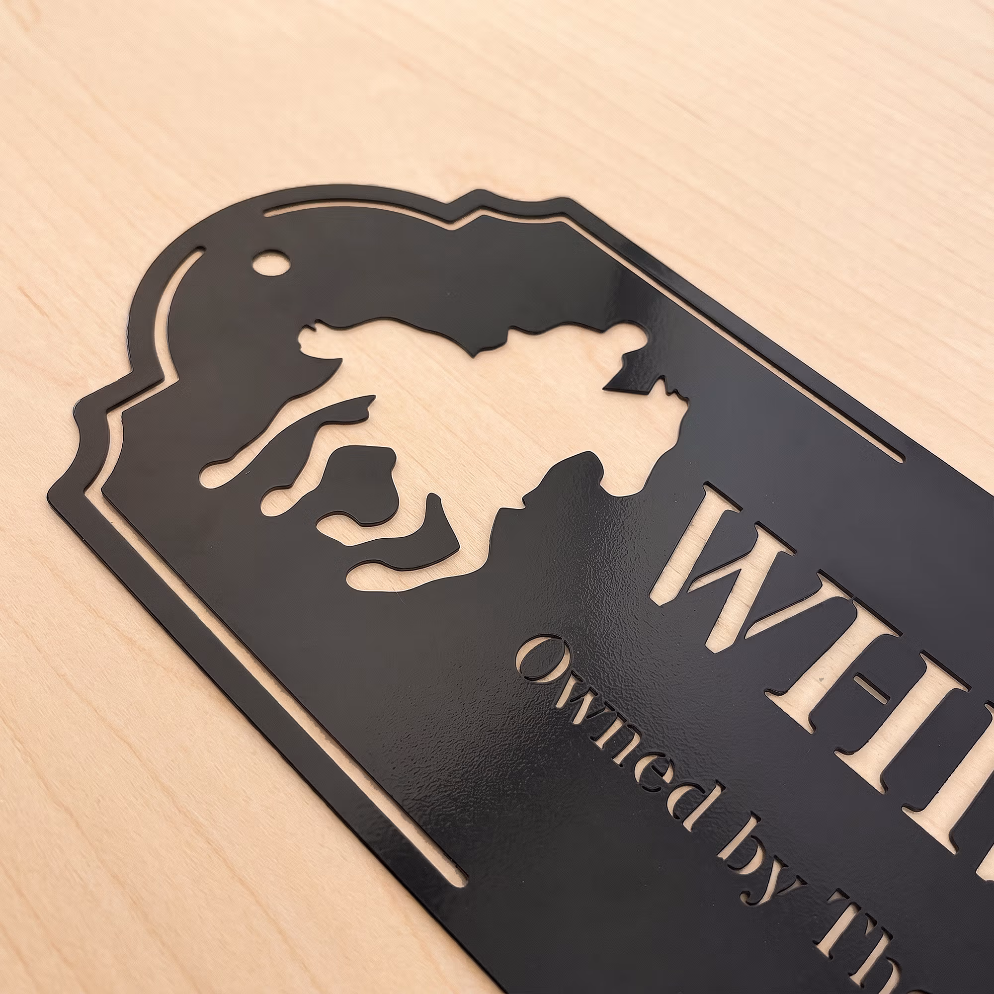 Personalized Silhouette Horse Stall Metal Sign with Name and Text Barn Decor Housewarming Gift for Horse Lovers Owners