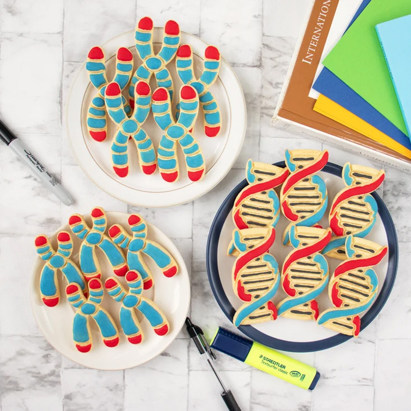 Personalized DNA Cookie Cutter 3D Printed Microbiology Genetics Science Baking Supplies Fondant Tool Craft Stamp for Geek Lover
