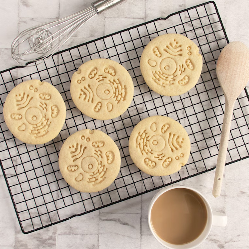 Personalized Human Cell Cookie Cutter 3D Printed Biology Shape Geeky Baking Supplies Fondant Tool Craft Stamp for Geek Lover