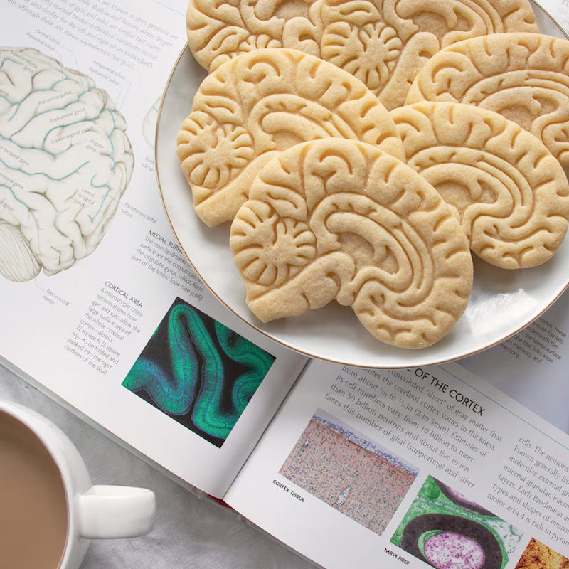 Personalized Science Anatomical Brain Cookie Cutter 3D Printed Baking Tool Craft Stamp for Geek Lover