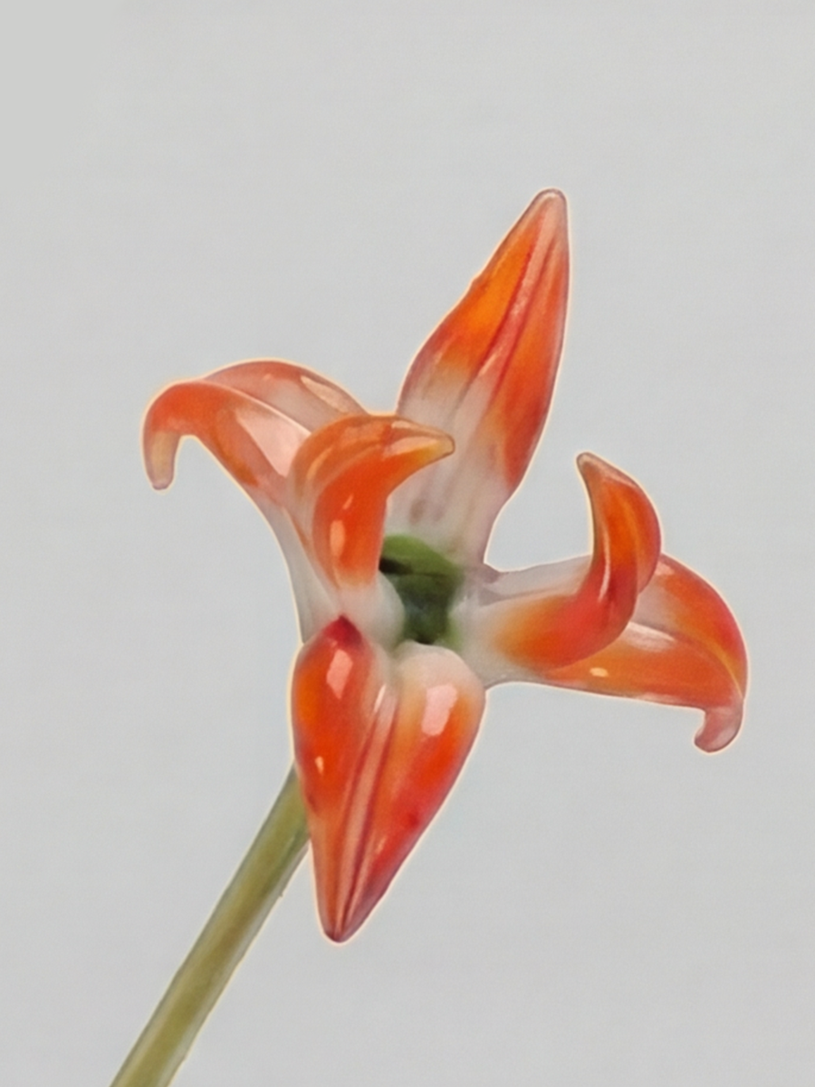 Personalized Glass Birth Month Flower Birth Flower Gift Hand Blown Spring Flower Glass Flower Bouquet Valentine's Day Gift For Her Home Decor-1