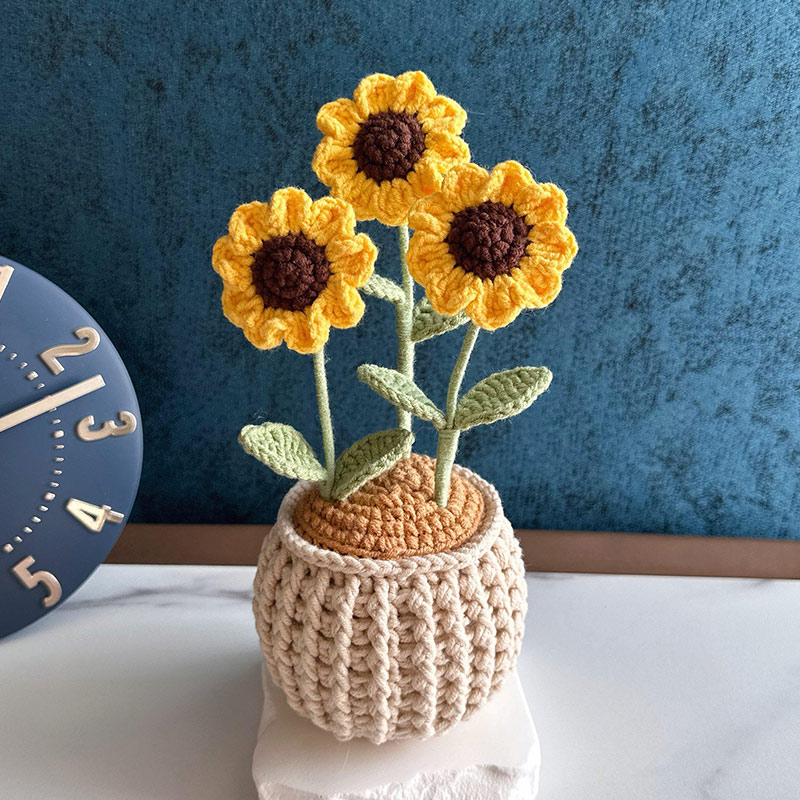 Mothers Day Gift Handmade Knitted Flower Pot Crochet Butterfly Orchid Plant Gift for Mom Grandma Mother's Day Gifts