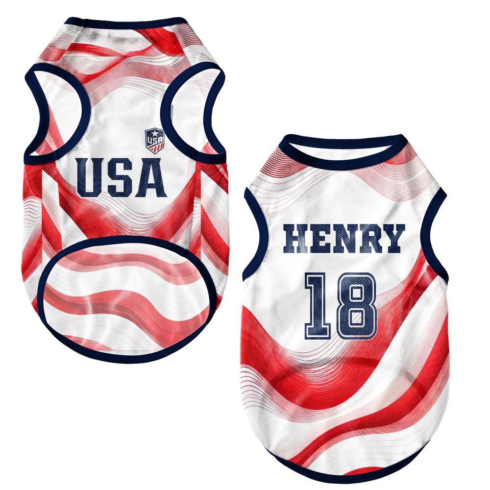 Personalized Pet Mesh Jerseys 2026 World Football National Team JerseysGift for Pet