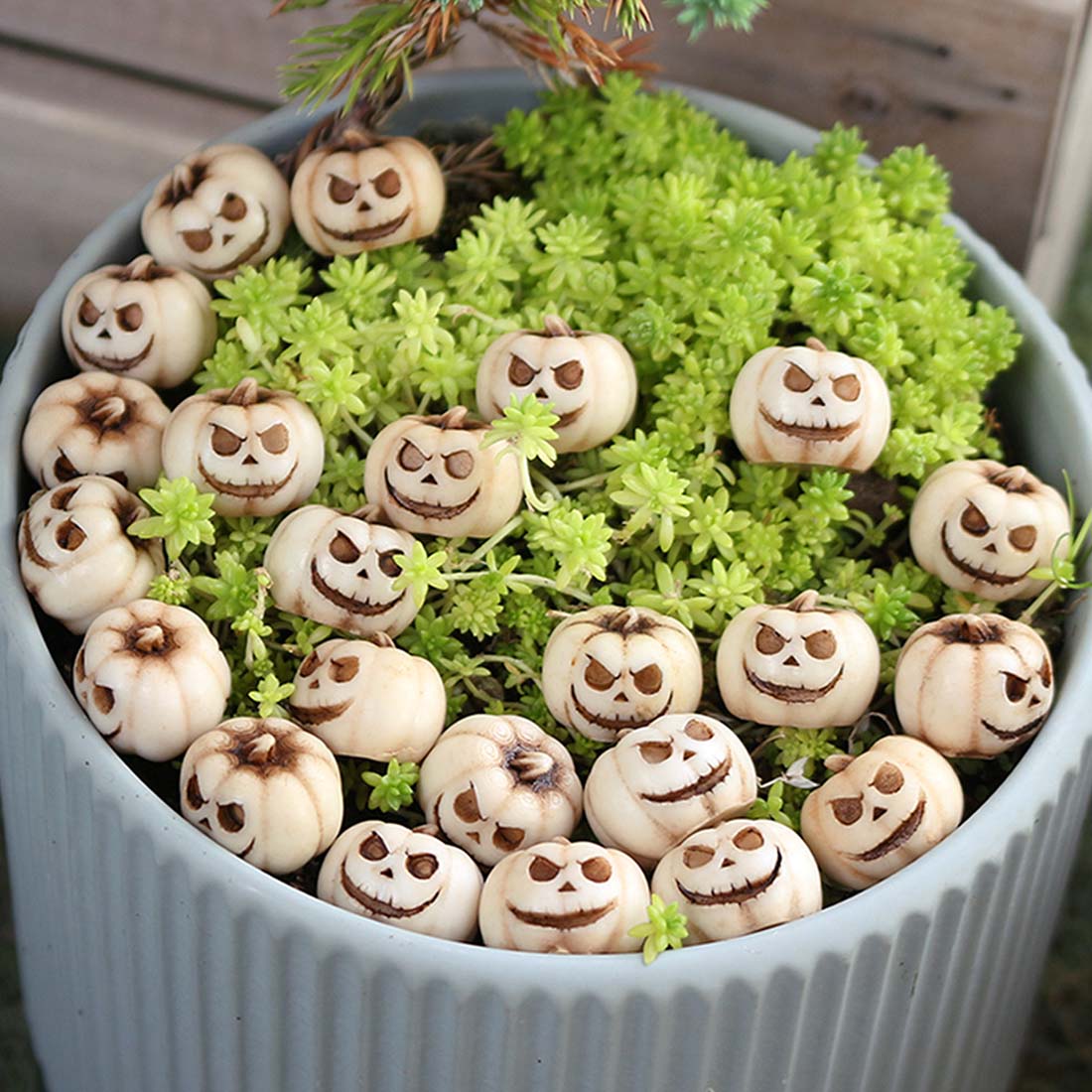 Mini Pumpkin Set of 20 PcsTiny Carved Face Pumpkins for Succulent Gardens