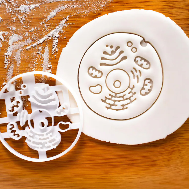 Personalized Bacteria Flask Cookie Cutter 3D Printed Microbiology Laboratory Geeky Baking Supplies Fondant Tool Craft Stamp for Geek Lover