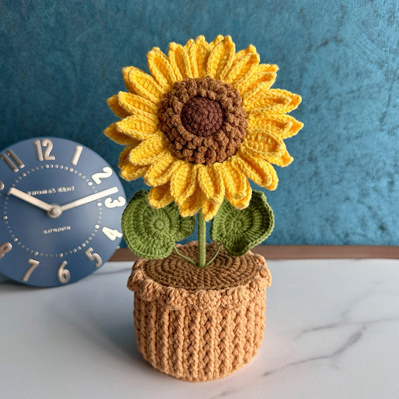 Mothers Day Gift Handmade Knitted Flower Pot Crochet Butterfly Orchid Plant Gift for Mom Grandma Mother's Day Gifts