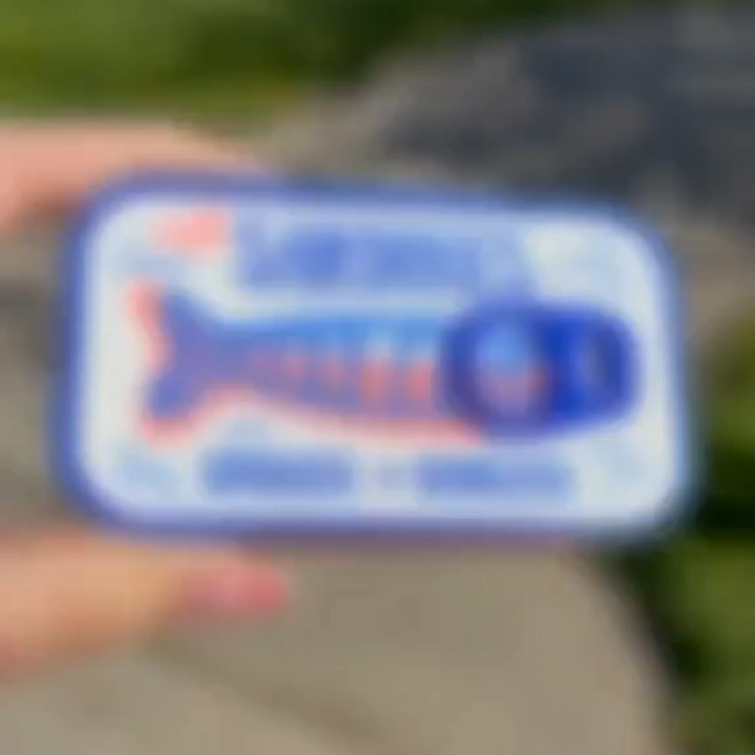 3D Printed Sardine "Tin like" Jewelry Case Fishbone Earring Holder Portable Organizer