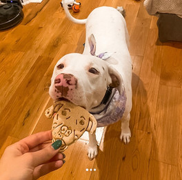 Personalized Face Cookie Cutter From Photo Funny Cookie Gift Wedding Gift Custom Face Photo Gift Face Cookie Cutter 