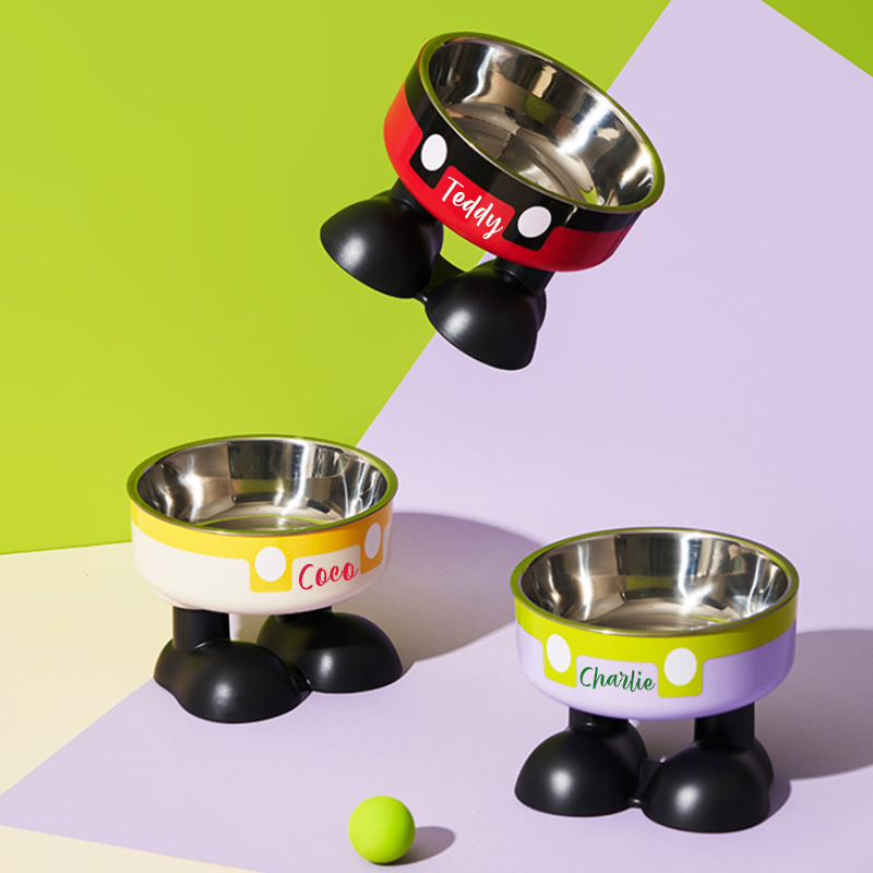 Personalized Cute Pet Feeding Bowl with Name Stainless Steel Heavy Base Raised Feeding Bowl Birthday Gift for Dog Cat Owners