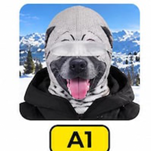 Funny Face Pets Ski Mask, Personalized Ski Balaclava Mask, Novelty Face Mask for Snowboarding, Gift for Ski Lovers