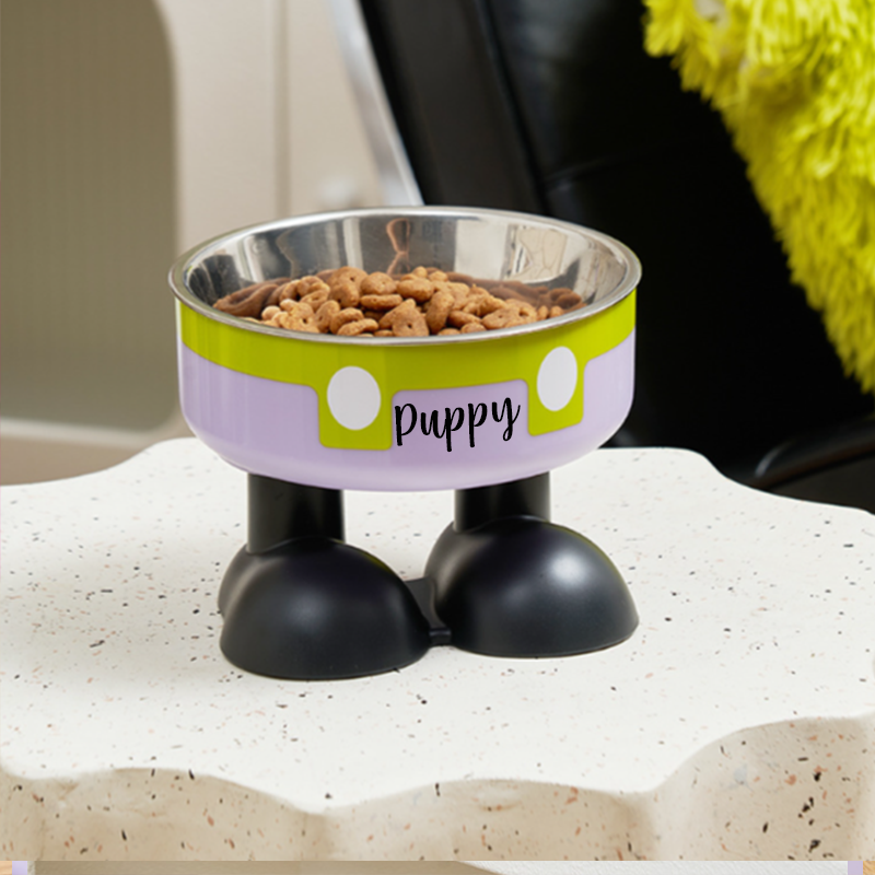 Personalized Cute Pet Feeding Bowl with Name Stainless Steel Heavy Base Raised Feeding Bowl Birthday Gift for Dog Cat Owners