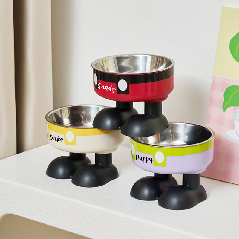 Personalized Cute Pet Feeding Bowl with Name Stainless Steel Heavy Base Raised Feeding Bowl Birthday Gift for Dog Cat Owners
