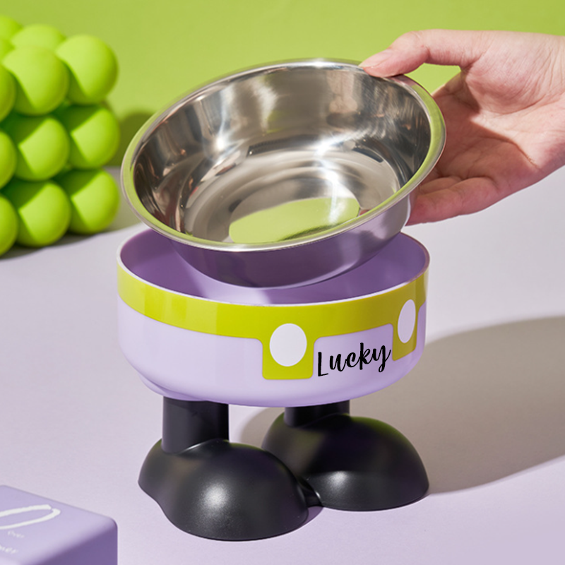 Personalized Cute Pet Feeding Bowl with Name Stainless Steel Heavy Base Raised Feeding Bowl Birthday Gift for Dog Cat Owners