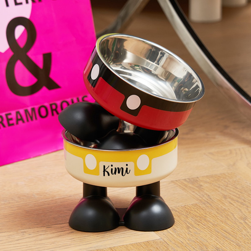Personalized Cute Pet Feeding Bowl with Name Stainless Steel Heavy Base Raised Feeding Bowl Birthday Gift for Dog Cat Owners
