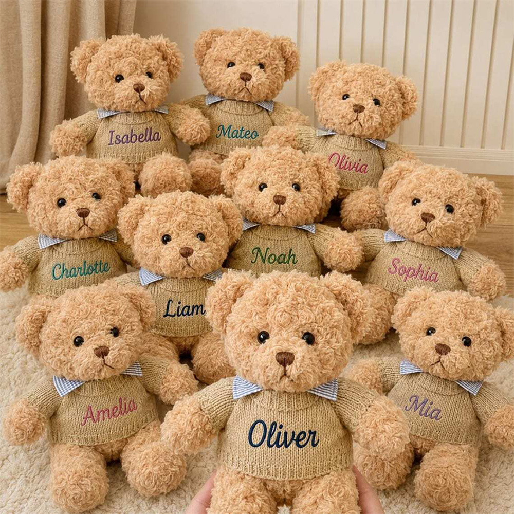Personalized Embroidered Teddy Bear Plush with Name Baby Shower Gift Newborn Keepsake Birthday Gift