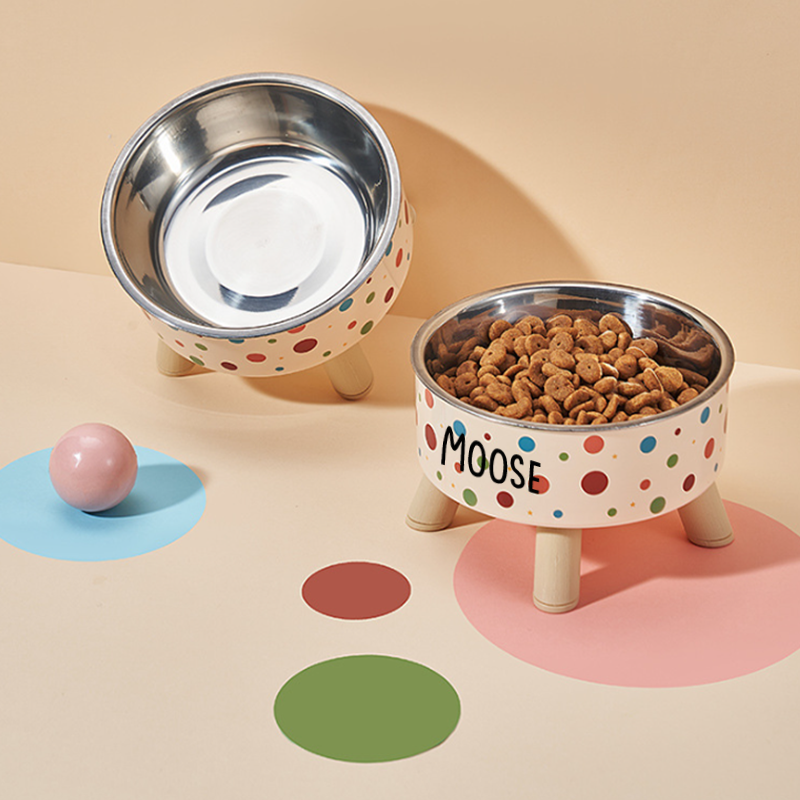 Personalized Cute Pet Feeding Bowl with Name Stainless Steel Heavy Base Raised Feeding Bowl Birthday Gift for Dog Cat Owners