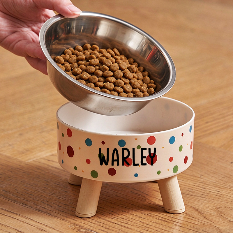 Personalized Cute Pet Feeding Bowl with Name Stainless Steel Heavy Base Raised Feeding Bowl Birthday Gift for Dog Cat Owners